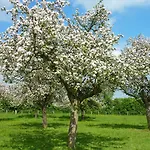 La Ferme Manoir Saint Barthelemy 3*