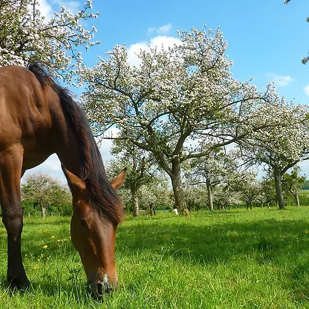 La Ferme Manoir Saint Barthelemy Bed & Breakfast 3*