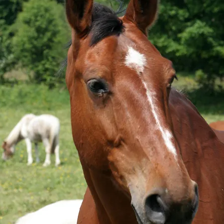 La Ferme Manoir Saint Barthelemy 3*