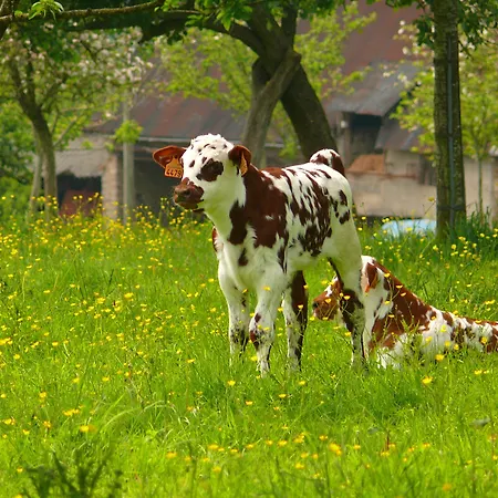 La Ferme Manoir Saint Barthelemy 3*