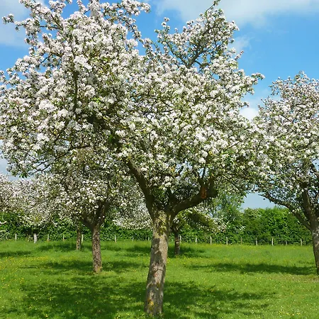 La Ferme Manoir Saint Barthelemy 3*