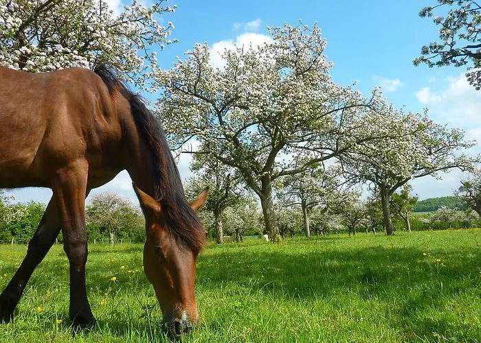La Ferme Manoir Saint Barthelemy Отель типа 