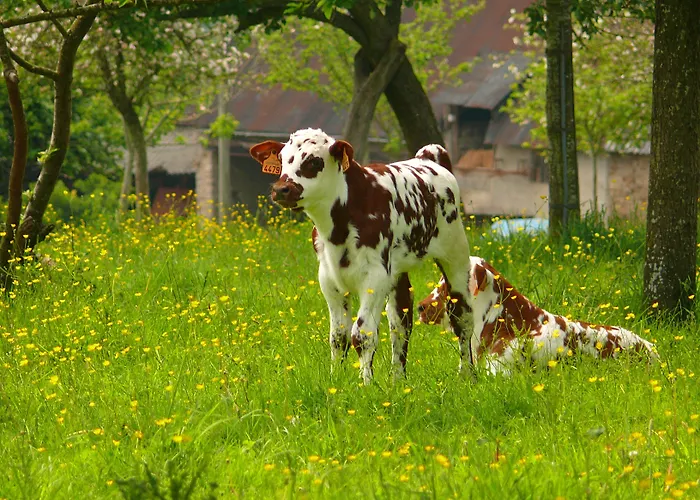 La Ferme Manoir Saint Barthelemy 3*