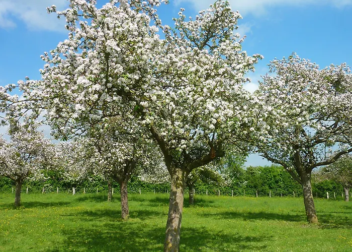 La Ferme Manoir Saint Barthelemy 3*