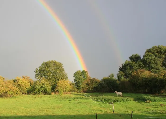לינה וארוחת בוקר La Ferme Manoir Saint Barthelemy 3*